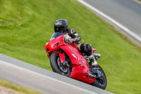 Oulton-Park-21st-March-2020;PJ-Motorsport-Photography-2020;anglesey;brands-hatch;cadwell-park;croft;donington-park;enduro-digital-images;event-digital-images;eventdigitalimages;mallory;no-limits;oulton-park;peter-wileman-photography;racing-digital-images;silverstone;snetterton;trackday-digital-images;trackday-photos;vmcc-banbury-run;welsh-2-day-enduro